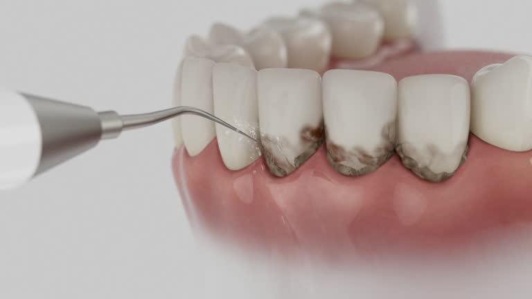 Reliable Dental contractor in North River Shores, FL by Dentist Open Now